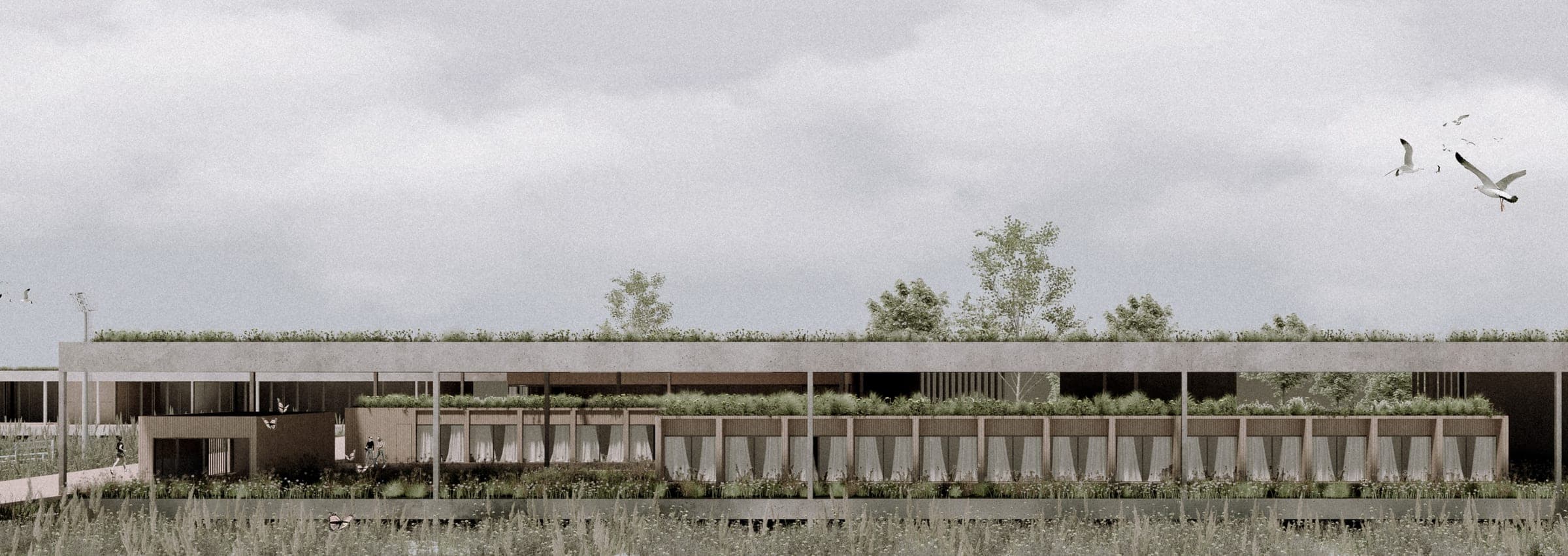 Campo La Macarena — imagen 1