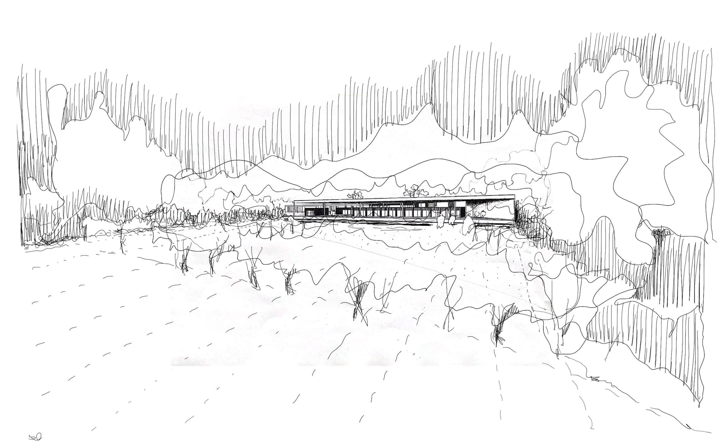 Campo La Macarena — imagen 4